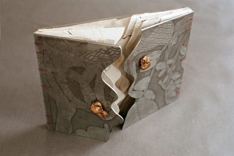 Front view Two Door Coptic bound book