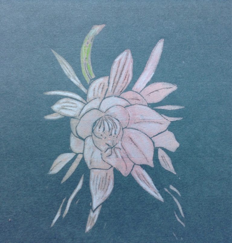 Night Blooming Cerius