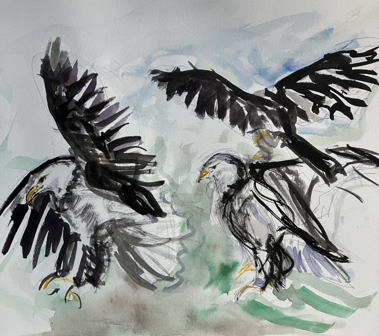 Eagles 1