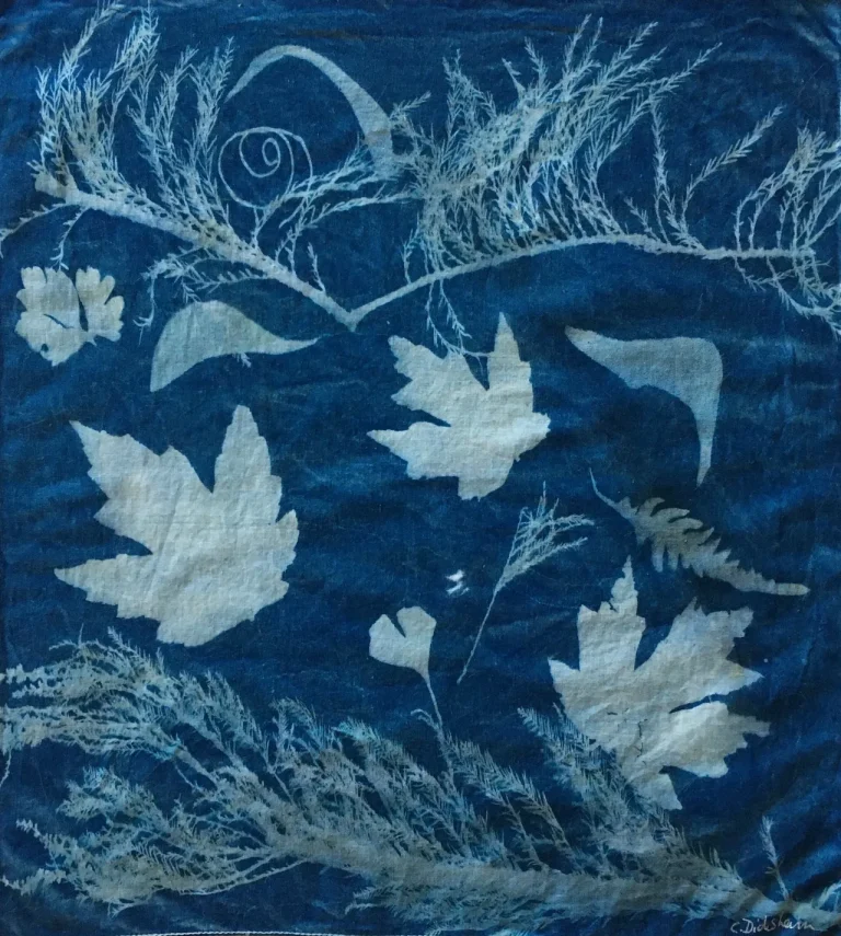 Cyanotype on cotton